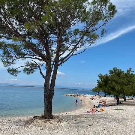 Guest house Family Vesna- 100 M -center 3*