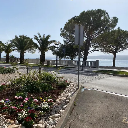 Family Vesna- 100 M -center Guest house 3*