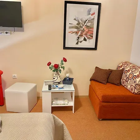 Guest house Family Vesna- 100 M -center 3*