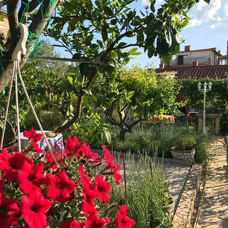 Guest house Family Vesna- 100 M -center Crikvenica