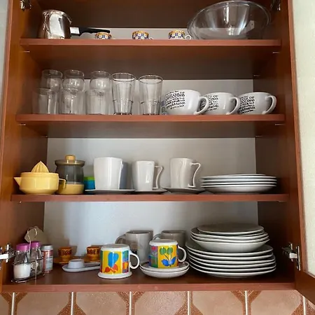 Family Vesna- 100 M -center