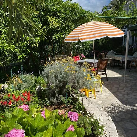 Family Vesna- 100 M -center