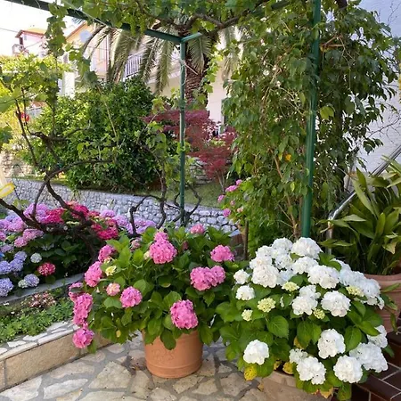 Family Vesna- 100 M -center 茨里克韦尼察