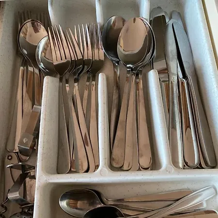 Family Vesna- 100 M -center 招待所