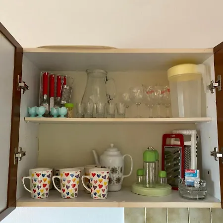 Family Vesna- 100 M -center