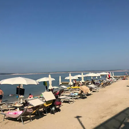 招待所 Family Vesna- 100 M -center