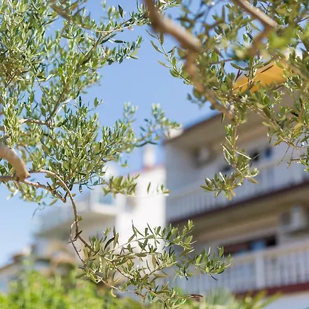 Family Vesna- 100 M -center 招待所 茨里克韦尼察