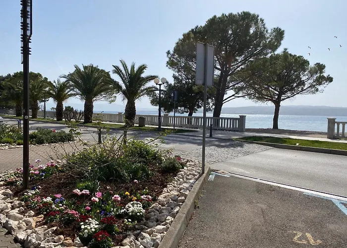 Family Vesna- 100 M -center Pensión 3*