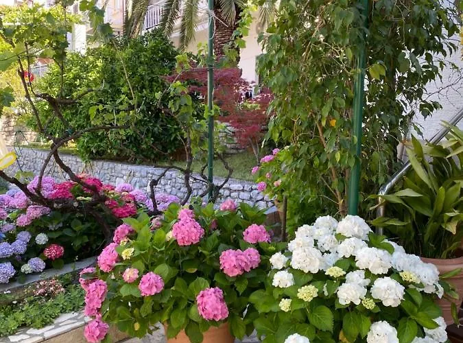 Family Vesna- 100 M -center Crikvenica