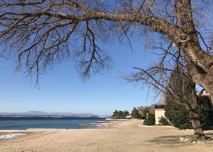 Family Vesna- 100 M -center 3*