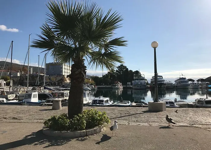 Family Vesna- 100 M -center